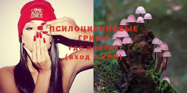 молекула духа Беломорск