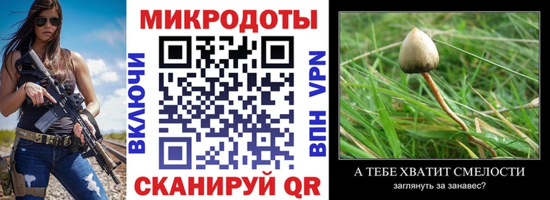 Галлюциногенные грибы GOLDEN TEACHER Нерюнгри